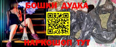 крисы Лесосибирск