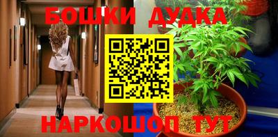 крисы Лесосибирск