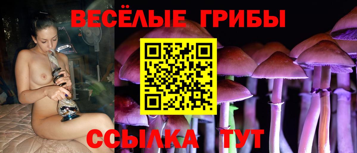 Галлюциногенные грибы ЛСД  Галлюциногенные грибы Cubensis  Вход с VPN  Владикавказ 
